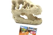 Reptile Nova Terrarium Ornament RN711A-SK