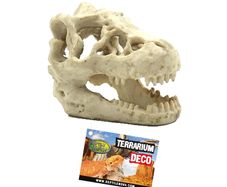 Reptile Nova Terrarium Ornament RN711A-SK