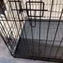 Dog Crate - medium size Image 4