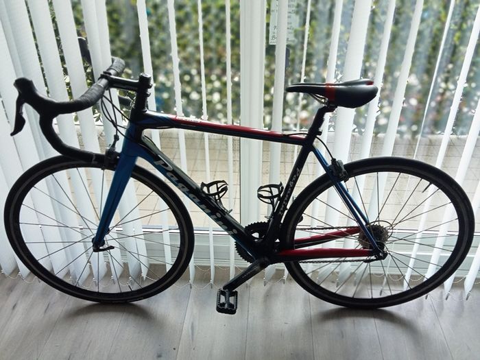 20 Speed Paganini Road Bike