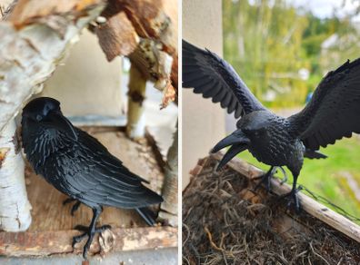 Black raven garden ornament or figurine