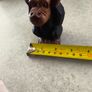 1970s Vtg. 5.5 inches Carved Wood Monkey Primitive Folk Art - Hear No Evil/MOP Eyes Image 4