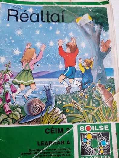 Gaeilge Fallons vintage school books