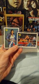 WWF Classic Andre The Giant & Honky Tonk Man Cards