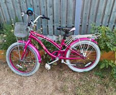 20' children's bike