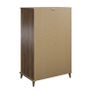 Queer Eye Farnsworth 5 Drawer Chest Image 4