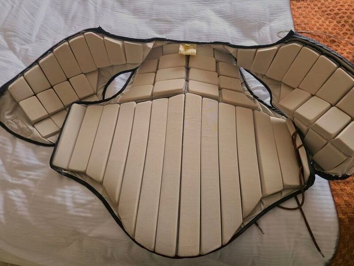 Racesafe Back Protector