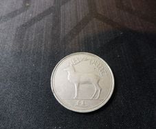 Irish Punt Coin 1990