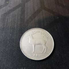 Irish Punt Coin 1990
