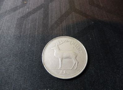 Irish Punt Coin 1990