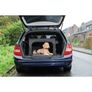dog carrier (collapsible) Image 5