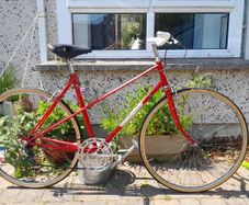 Dawes Ladies Bike