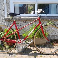 Dawes Ladies Bike