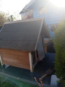 Kennel