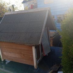 Kennel