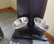 adjustable dog feed/ water