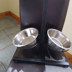 adjustable dog feed/ water
