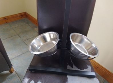adjustable dog feed/ water