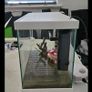 Fish tank Image 3