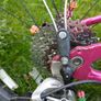 Islabikes Beinn 20L Image 2