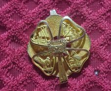 vintage collectors pin