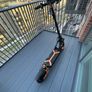 scooter Image 2