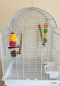 cage