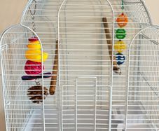 cage