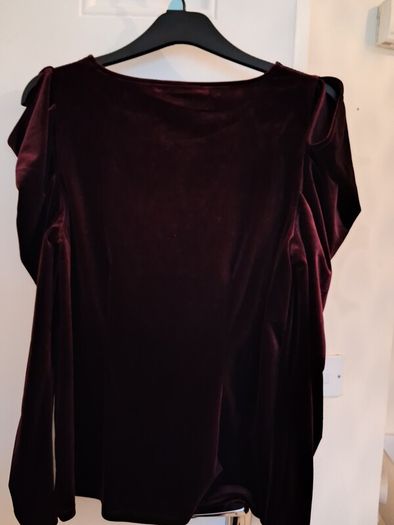 Ladies top