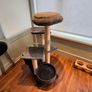 cat tree Image 3