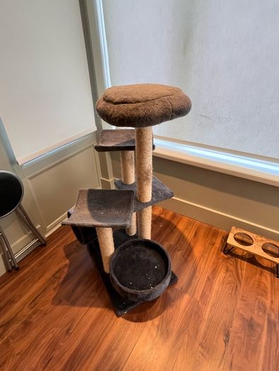cat tree