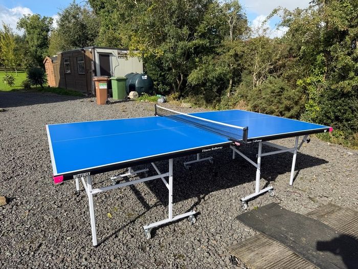 Table tennis table