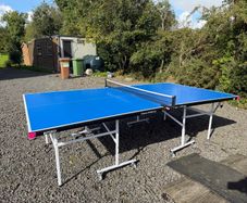 Table tennis table