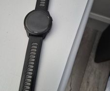 Garmin 265s
