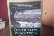 Contemplative Provocations