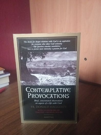 Contemplative Provocations