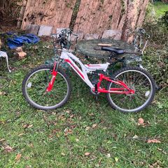 Kids mountain bike