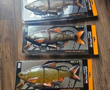Savage gear roach