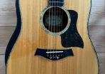 Taylor Custom Order Dreadnought Dn