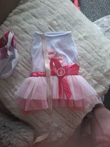 Dog dress
