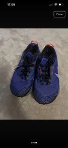 nike pegasus trail