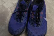 nike pegasus trail
