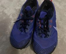 nike pegasus trail