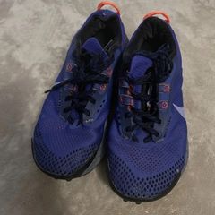 nike pegasus trail
