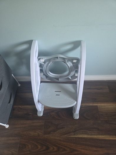 Toilet Training Seat with Step