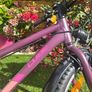 CUBE Acid 200 Allroad Bike Image 4