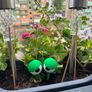Grumpy Plant Eyes - 3D printed plant accessories Image 3