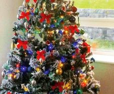 christmas tree