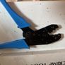 crimp tool ratchet type new Image 2