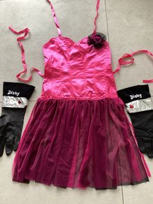Fancy Dress/ Halloween Pink Apron with rubber gloves. Brand New